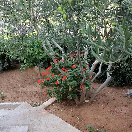 With A Parking Space Hvar - 5701 Apartamento Hvar Town