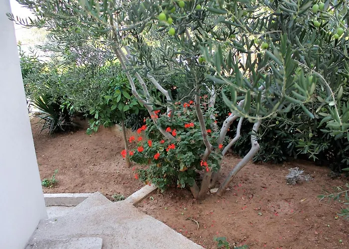 With A Parking Space Hvar - 5701 Διαμέρισμα Χβαρ